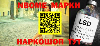 гашик Аргун