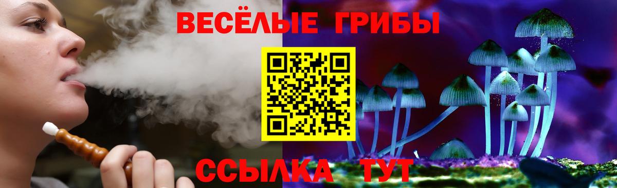 Псилоцибиновые грибы прущие грибы  Псилоцибиновые грибы Cubensis  Вход с VPN  Еманжелинск 